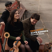 Album artwork for HANS SOMMER: CHAMBER MUSIC