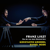 Album artwork for Liszt: Der du von dem Himmel b