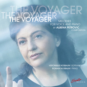 Album artwork for The Voyager