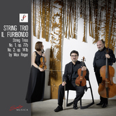 Album artwork for Reger: String Trios Nos. 1 & 2