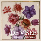 Album artwork for de Visée