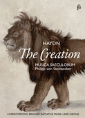 Album artwork for Haydn: The Creation / Steinaecker