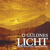 Album artwork for O GULDNES LICHT