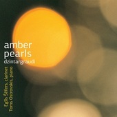 Album artwork for Egils Sefers & Toms Ostrovskis - Amber Pearls 