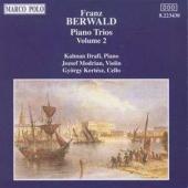 Album artwork for Berwald: Piano Trios Vol.2