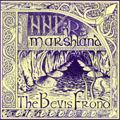 Album artwork for Bevis Frond - Inner Marshland: 2LP Vinyl Edition 