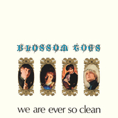 Album artwork for Blossom Toes - We Are Ever So Clean 