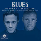 Album artwork for Matthew Trusler / Wayne Marshall: Blues