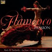 Album artwork for Flamenco Passion