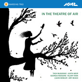 Album artwork for In the Theatre of Air