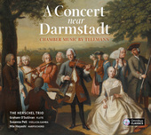 Album artwork for A Concert near Darmstadt