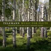 Album artwork for Telemann: Music for Flute