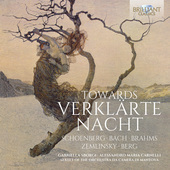 Album artwork for TOWARDS VERKLARTE NACHT