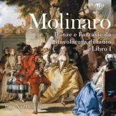 Album artwork for Molinaro: Danze e fantasie da intavolatura di liut