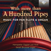 Album artwork for With More Than a Hundred Pipes - Music for Pan Flu