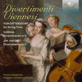Album artwork for Divertimenti Viennesi