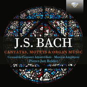 Album artwork for Bach: Cantatas, Motets & Organ Music