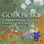 Album artwork for Godowsky: Complete Studies on Chopin