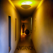 Album artwork for Residents - Anganok 