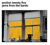 Album artwork for Section 25 - Jams From The Bardo 