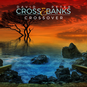 Album artwork for David Cross & Peter Banks - Crossover 