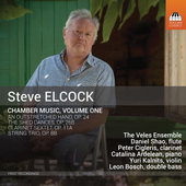 Album artwork for Steve Elcock: Chamber Music, Vol. 1