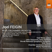 Album artwork for Feigin: Music for Chamber Orchestra