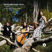 Album artwork for Beethoven Piano Trios, Vol. 2