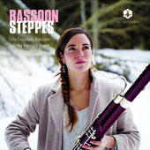 Album artwork for BASSOON STEPPES