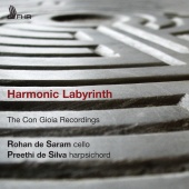 Album artwork for Rohan de Saram: Harmonic Labyrinth