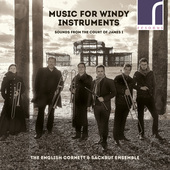 Album artwork for MUSIC FOR WINDY INSTRUMENTS