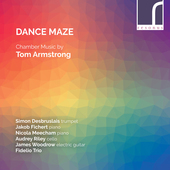 Album artwork for DANCE MAZE