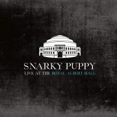 Album artwork for Snarky Puppy - Live at Royal Albert Hall