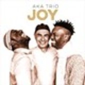Album artwork for AKA Trio: Joy