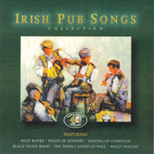Album artwork for Irish Pub Songs 
