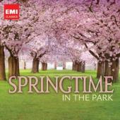 Album artwork for Springtime in the Park