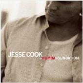 Album artwork for Jesse Cook: The Rumba Foundation