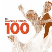 Album artwork for 100 Best Waltzes & Polkas
