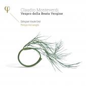 Album artwork for Monteverdi: Vespro della Beata Vergine / Herrewegh