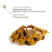 Album artwork for Gesualdo: Dolcissima mia vita. Madrigali a cinque 