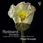 Album artwork for Monteverdi: Il quarto libro de madrigali