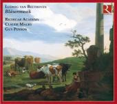 Album artwork for Beethoven: Blasermusik