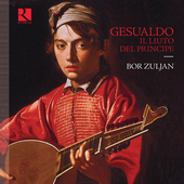 Album artwork for Gesualdo: Il liuto del princip