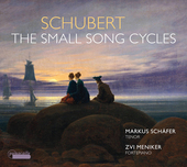 Album artwork for THE SMALL SONG CYCLES