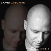 Album artwork for David Laborier - NE:X:T (180 Gram Vinyl) 