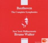 Album artwork for Beethoven The Complete Symphonies Walter