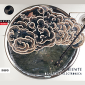 Album artwork for Niewte: Osmetnica Electronica