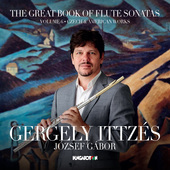 Album artwork for The Great Book of Flute Sonatas, Vol. 6: Czech & A