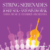 Album artwork for String Serenades, Vol. 2