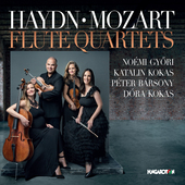 Album artwork for Haydn & Mozart: Flute Quartets